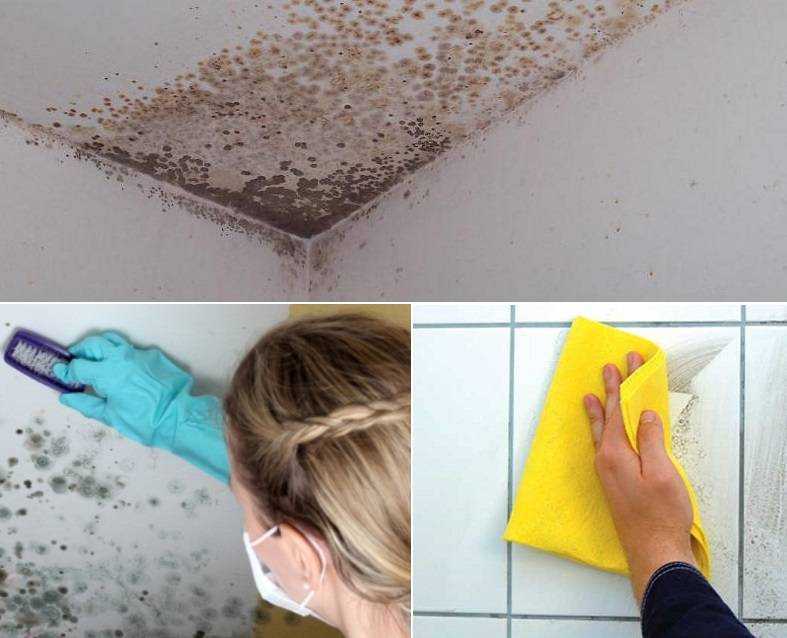  убрать плесень в ванной на герметике, очистить и избавиться