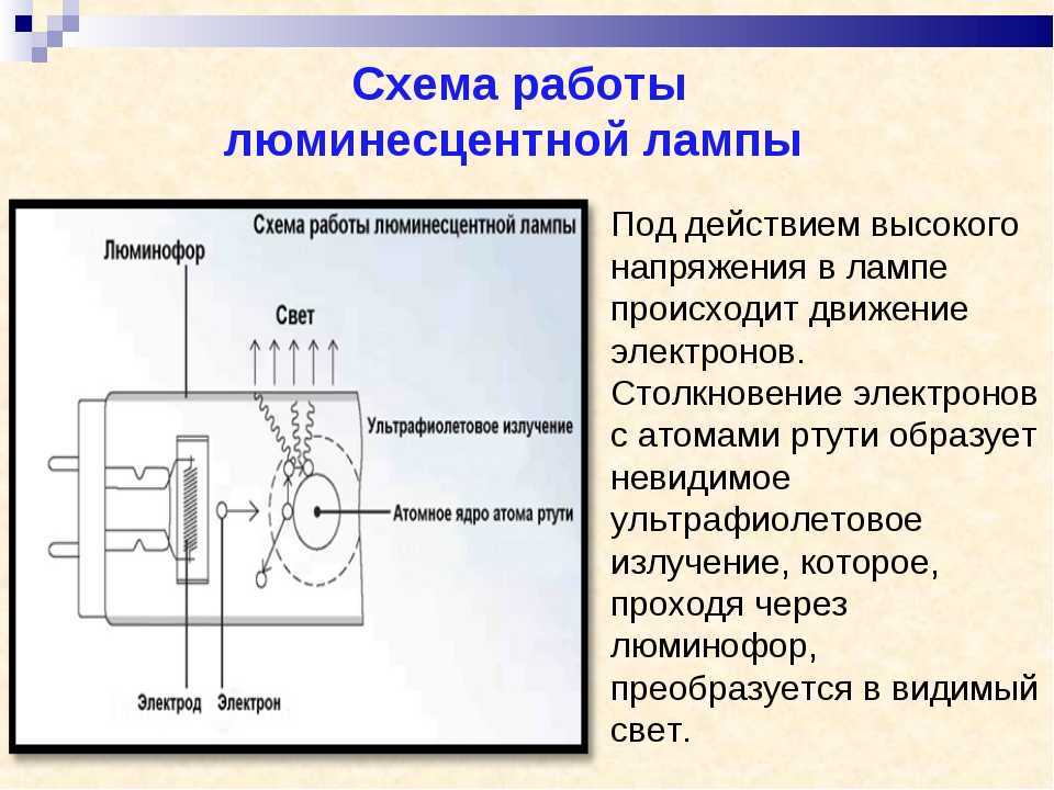 Какими бывают компактные люминесцентные лампы + лучшие производители
