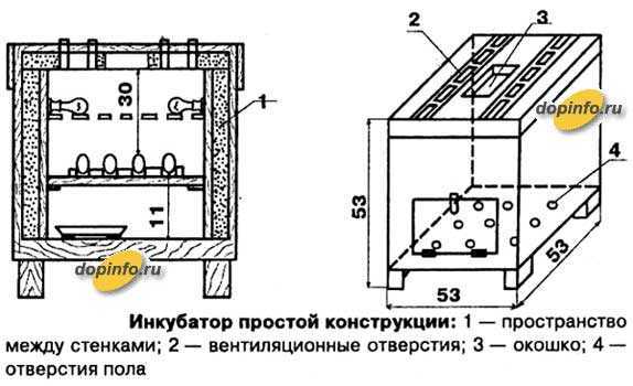 ✅ вентиляция инкубатора: как влияет на вывод птенцов, как сделать самому - cvetochki-penza.ru