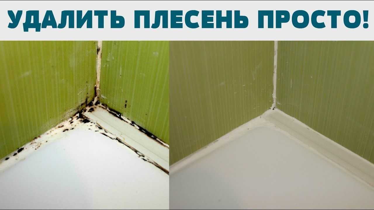 Эти 12 признаков указывают на скрытую плесень в доме, из-за которой вы болеете :: инфониак