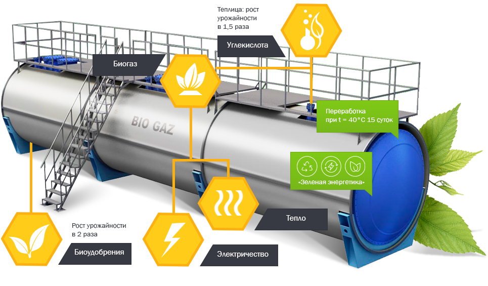 Вот почему так ценен навоз: технология производства биогаза