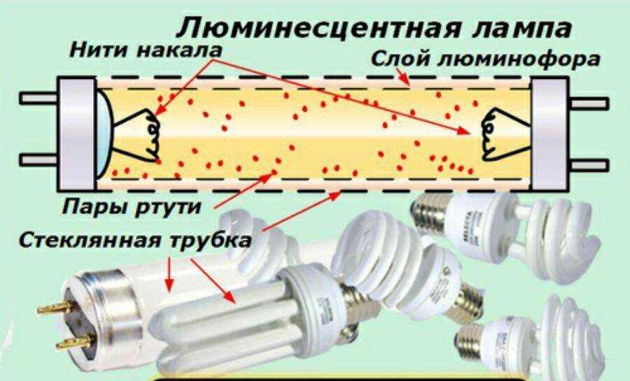 Принцип работы люминесцентной лампы, или как работает лампа дневного света.
